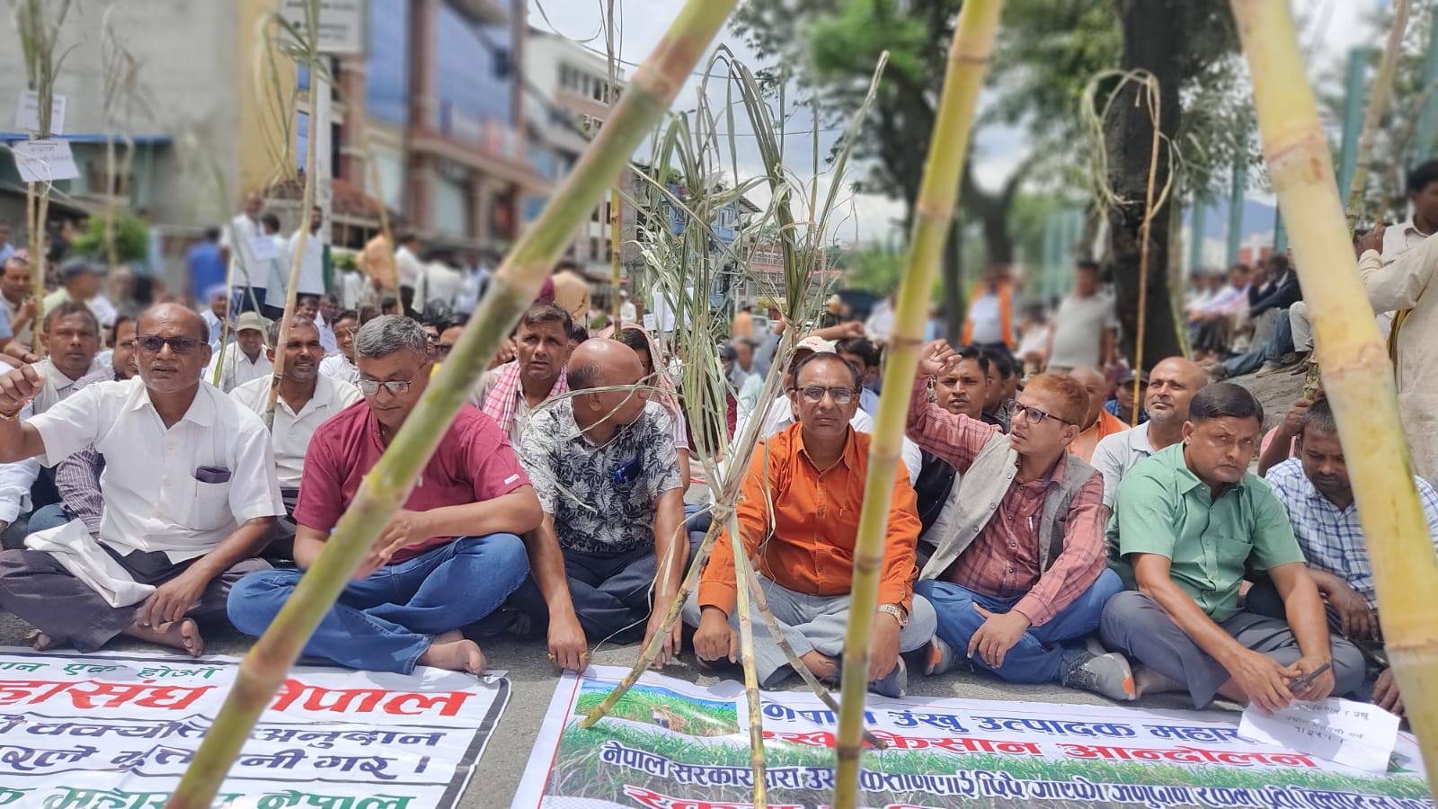 उखु किसानले पाउने अनुदानको ७५ करोड ४९ लाख रुपैयाँ निकासा